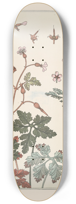 Maurice Pillard Verneuil - Geranium sauvage 8.25 inch art skate deck