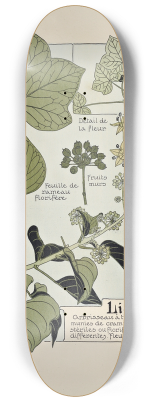Maurice Pillard Verneuil - Lierre 8.25 inch art skate deck