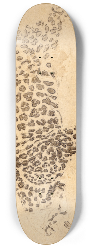 Antoine-Louis Barye - Etude de lopard 8.25 inch art skate deck Antoine-Louis Barye - Etude de lopard 8.25 inch art skate deck