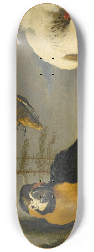 Melchior d'Hondecoeter - Birds on a Balustrade 8.25 inch art skate deck