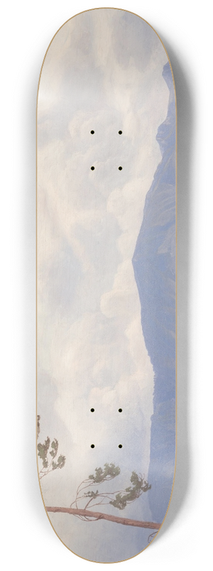 Michael Licklederer - Blick ber den Simssee 8.25 inch art skate deck