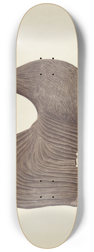 Michael Riccitelli - Rooster Weather Vane 8.25 inch art skate deck