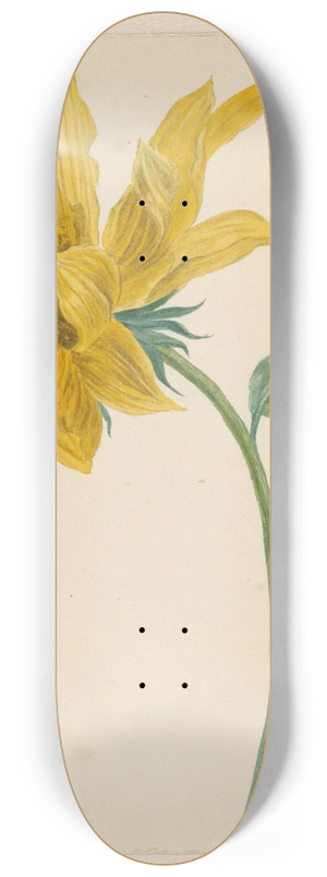 Michiel van Huysum - Tak met een zonnebloem 8.25 inch art skate deck