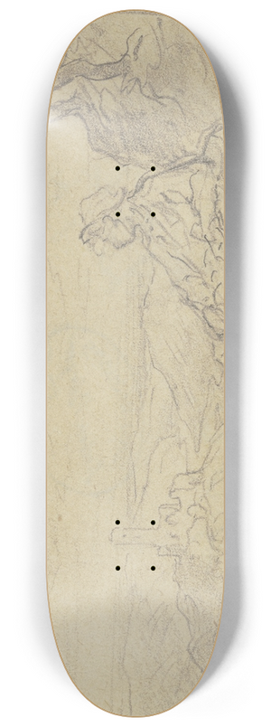 Anton Burger - View on Falkenstein 8.25 inch art skate deck