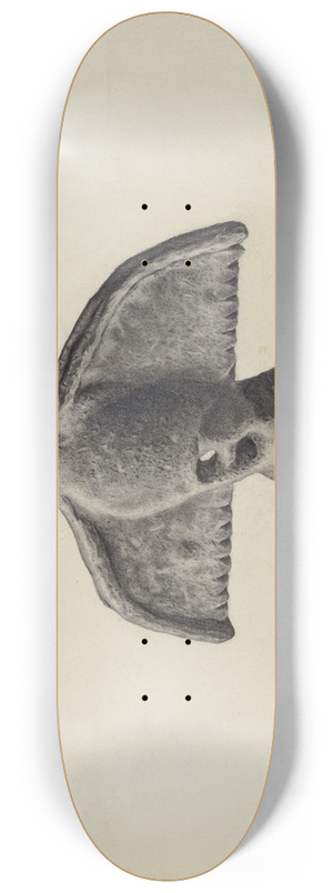 Milton Grubstein - Snow Catcher 8.25 inch art skate deck