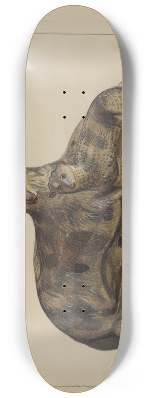Mina Lowry - Pa. German Chalkware Lamp and Sheep 8.25 inch art skate deck