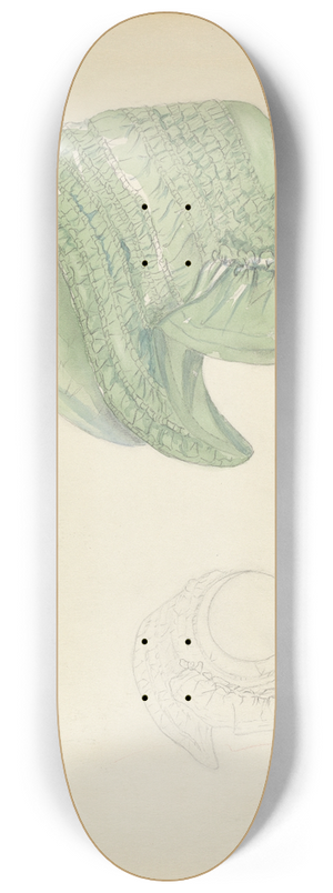 Nancy Crimi - Bonnet 8.25 inch art skate deck