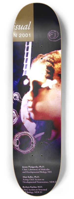 National Institutes of Health - Auditory and visual research in 2001 8.25 inch art skate deck