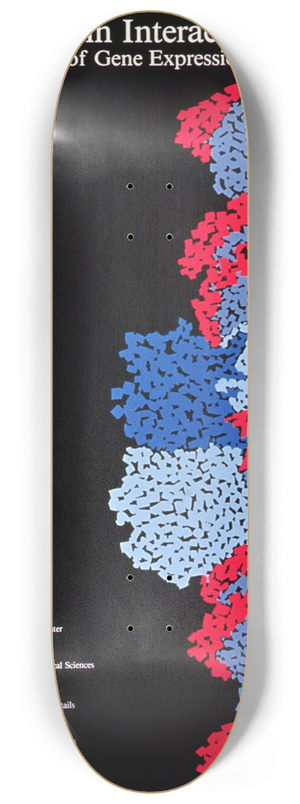 National Institutes of Health - DNA-protein interactions in the control of gene expression 8.25 inch art skate deck