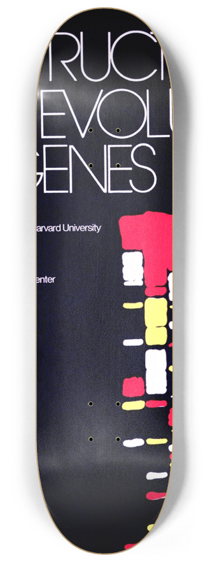 National Institutes of Health - The structure and evolution of genes 8.25 inch art skate deck