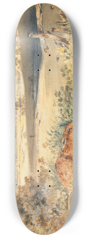 Newton Limbird Smith Fielding - Hare in a Landscape 8.25 inch art skate deck