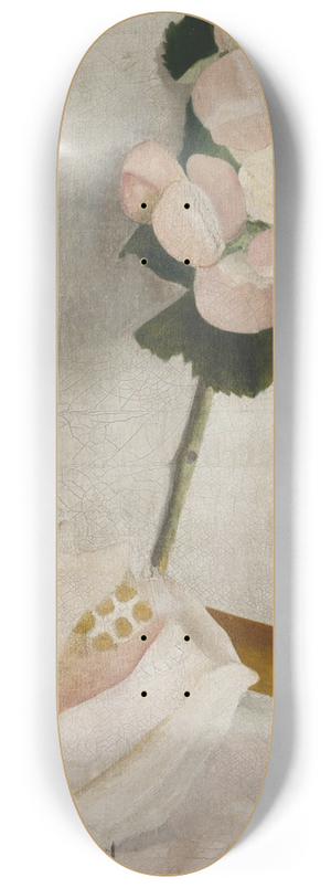 ngel Zrraga - Naturaleza muerta 8.25 inch art skate deck