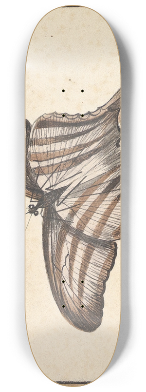Nicolaas Struyk - A Butterfly 8.25 inch art skate deck