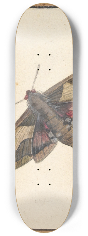 Nicolaas Struyk - A Moth 8.25 inch art skate deck