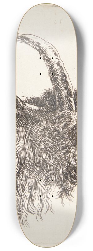 Nicolaes Pietersz. Berchem - Gedehoved vendt mod hjre 8.25 inch art skate deck Nicolaes Pietersz. Berchem - Gedehoved vendt mod hjre 8.25 inch art skate deck
