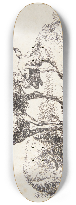 Nicolaes Pietersz. Berchem - To liggende og et stende fr 8.25 inch art skate deck