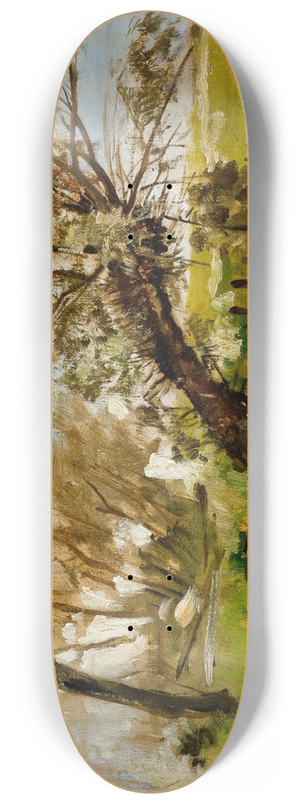 Antoni Kozakiewicz - Willows 8.25 inch art skate deck