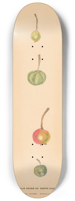 Nikolai Ivanovich Vavilov - The Wild Pears of North Caucasus 2 8.25 inch art skate deck