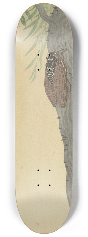 Ohara Koson - Cicada on tree 8.25 inch art skate deck Ohara Koson - Cicada on tree 8.25 inch art skate deck
