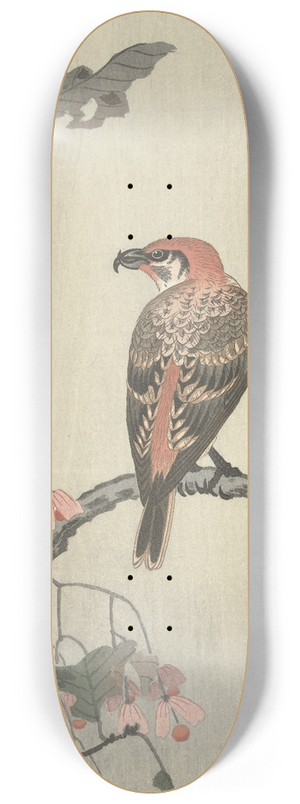 Ohara Koson - Crossbill on tree branch 8.25 inch art skate deck