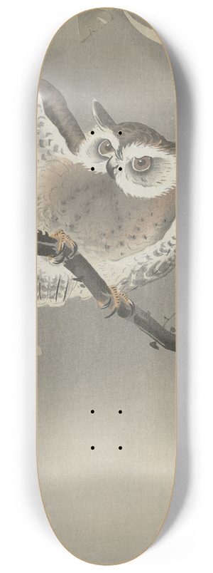 Ohara Koson - Long-eared owl in ginkgo 8.25 inch art skate deck Ohara Koson - Long-eared owl in ginkgo 8.25 inch art skate deck