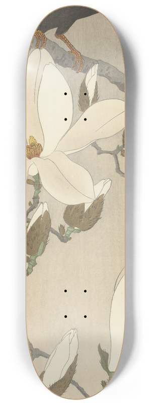 Ohara Koson - Myna on Magnolia Branch 8.25 inch art skate deck
