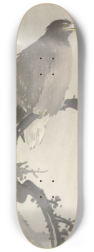 Ohara Koson - White-tailed eagle on branch 8.25 inch art skate deck