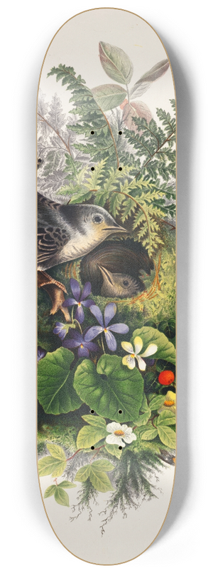 Olive E Whitney - Birds 8.25 inch art skate deck Olive E Whitney - Birds 8.25 inch art skate deck