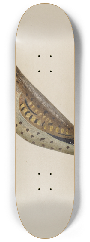 Oscar Bluhme - Decoy 8.25 inch art skate deck