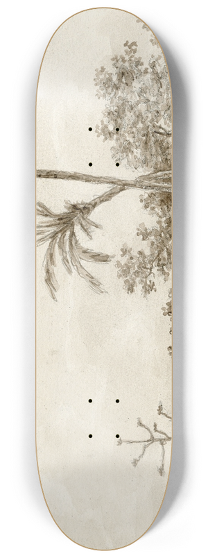 Otto Howen - Gezicht in de omgeving van Valencia 8.25 inch art skate deck