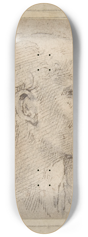 Parmigianino - Head of a Man in Profile to Right 8.25 inch art skate deck