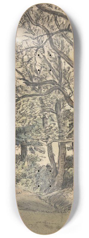 Patrick Nasmyth - Part of Regents Park 8.25 inch art skate deck