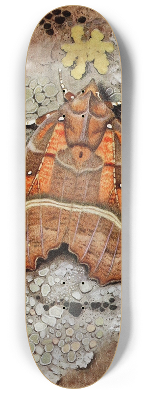 Paul-Andre Robert - La Dcoupure 8.25 inch art skate deck