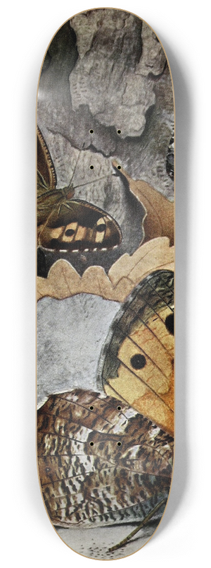 Paul-Andre Robert - LAgreste 8.25 inch art skate deck