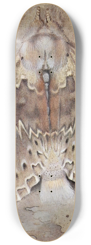 Paul-Andre Robert - La Harpye du Htre 8.25 inch art skate deck