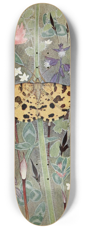 Paul-Andre Robert - La Panthre 8.25 inch art skate deck