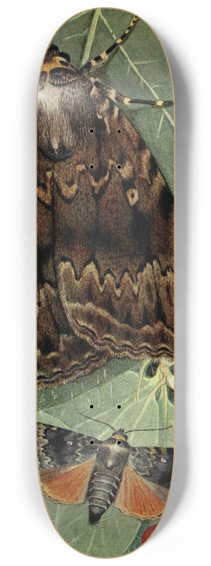 Paul-Andre Robert - La Pyramide 8.25 inch art skate deck