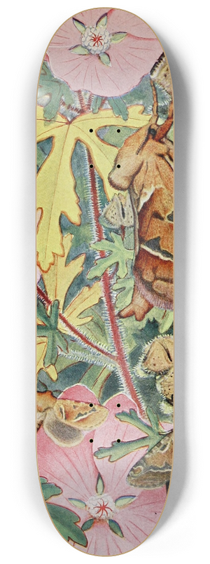 Paul-Andre Robert - La Sylvine 8.25 inch art skate deck