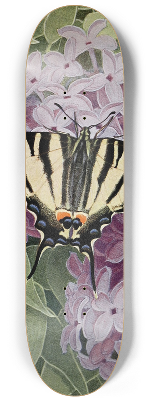 Paul-Andre Robert - Le Flamb 8.25 inch art skate deck