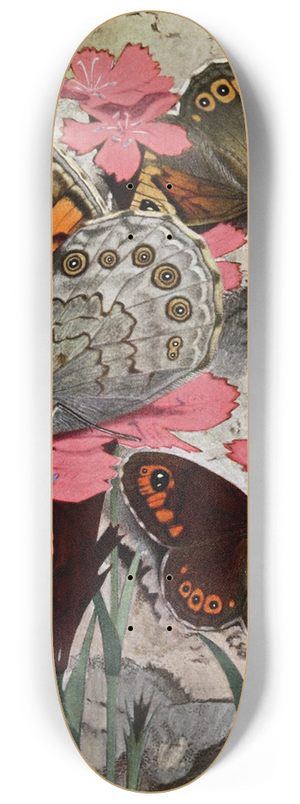 Paul-Andre Robert - Le Nmusien 8.25 inch art skate deck