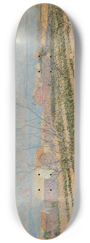 Paul Baum - Capri 8.25 inch art skate deck