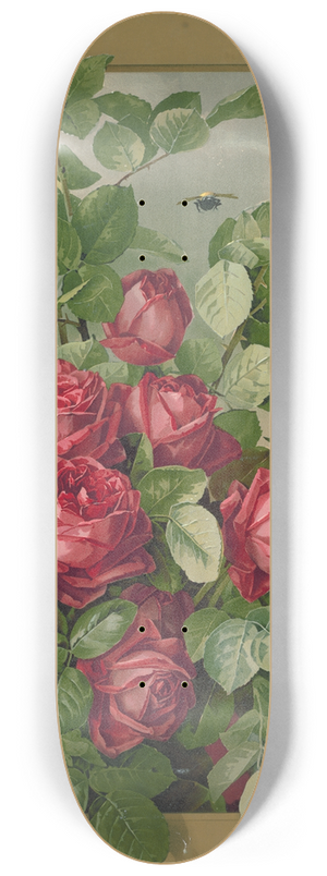 Paul de Longpre - Red roses growing through a window 8.25 inch art skate deck