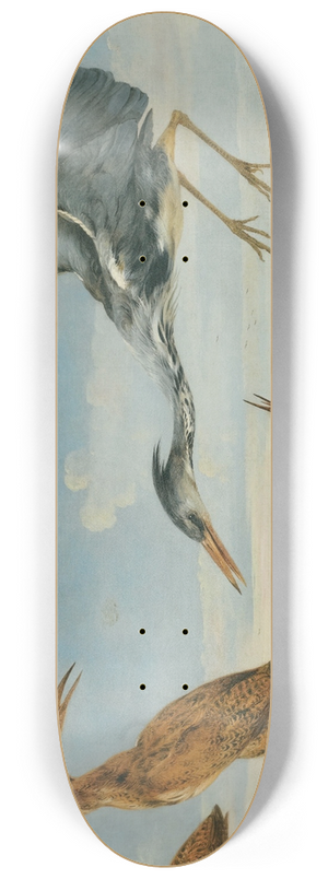 Paul de Vos - Landscape With Pairs Of Herons And Bitterns 8.25 inch art skate deck