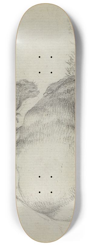 Paulus Potter - Resting Horse 8.25 inch art skate deck