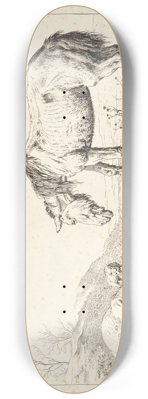 Paulus Potter - To g 8.25 inch art skate deck