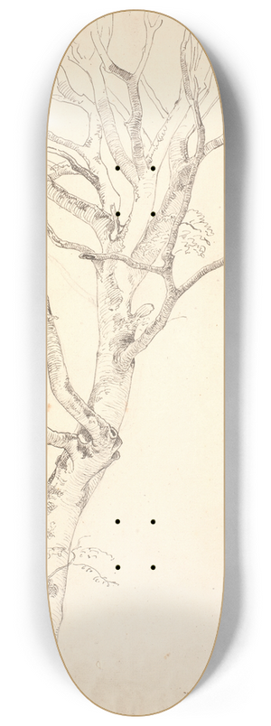 P. C. Skovgaard - Afbladet bgetr 8.25 inch art skate deck