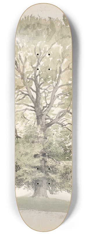 P. C. Skovgaard - Et stort bgetr med grnt lv 8.25 inch art skate deck