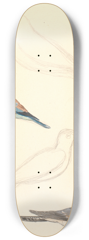 P. C. Skovgaard - To studier af en ellekrage og to studier af en gg 8.25 inch art skate deck