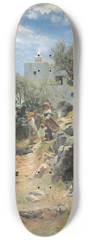 Peder Mrk Mnsted - At Noon On A Cactus Plantation In Capri 8.25 inch art skate deck