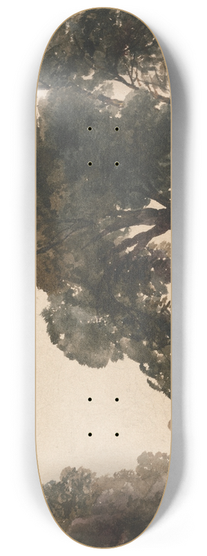 Peter DeWint - The Wagon 8.25 inch art skate deck